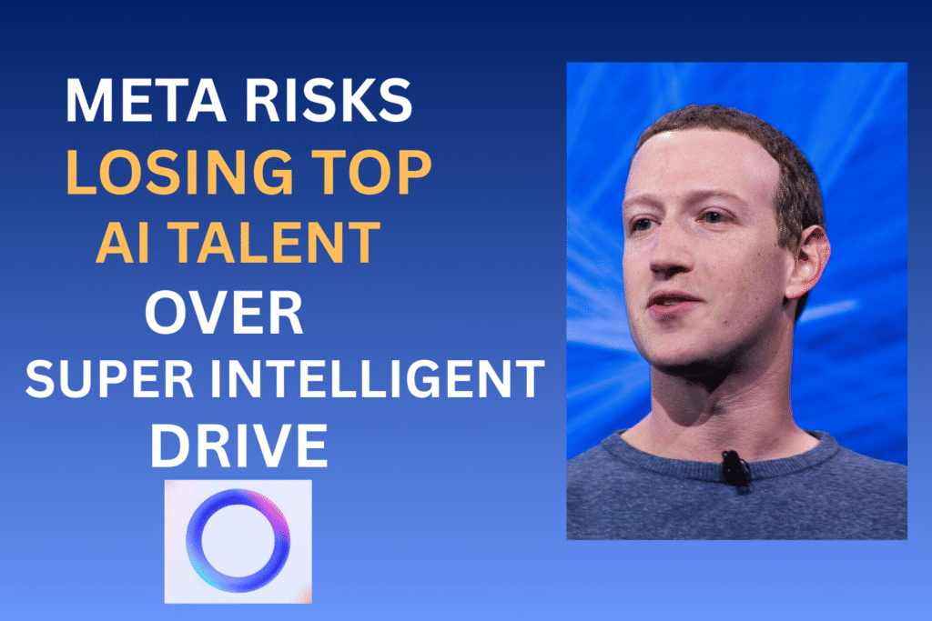 META RISKS